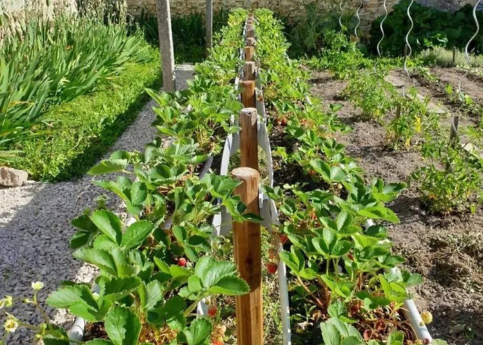 Chez Maria Celles-Sur-Ource